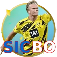 SICBO