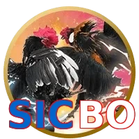 SICBO